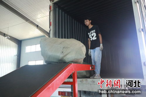 河北高碑店箱包產業(yè)年銷售額超30億元